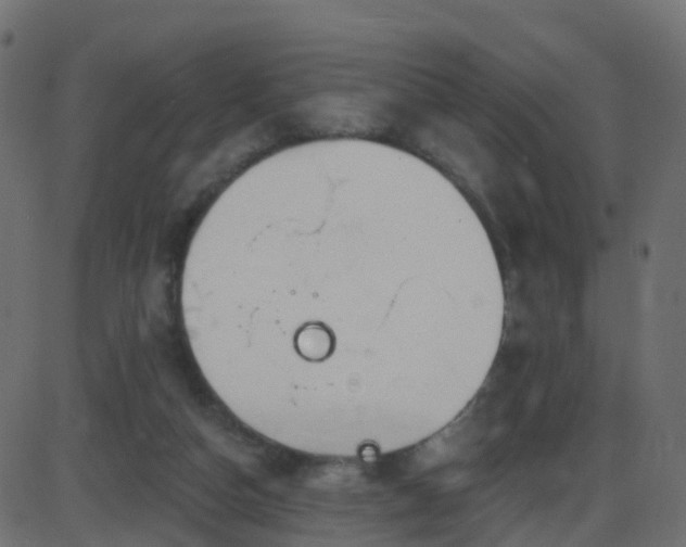 X0000086270162200704051318