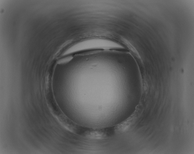 X0000086270163200704051318