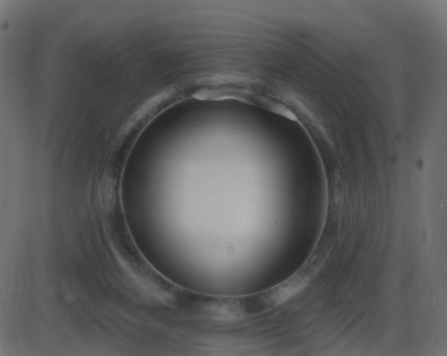 X0000086270164200704051318