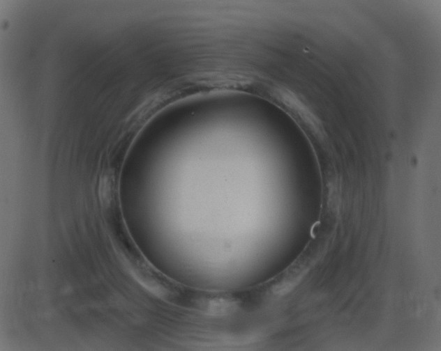 X0000086270165200704051318