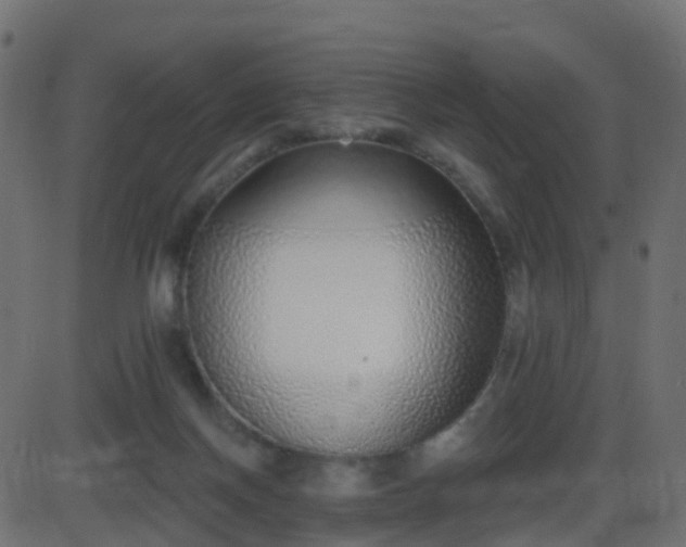 X0000086270166200704051318