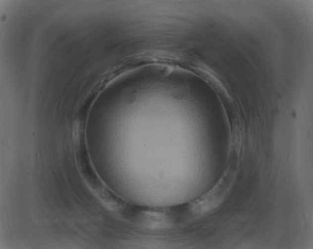 X0000086270167200704051318