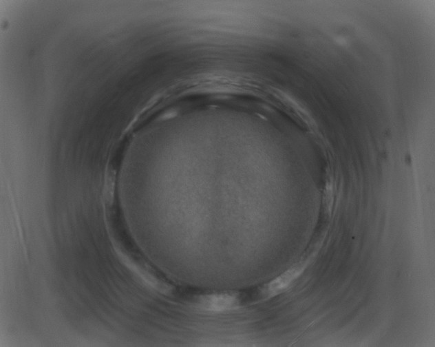 X0000086270168200704051318