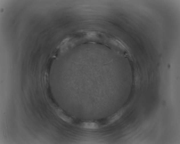 X0000086270169200704051318