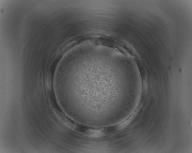 X0000086270170200704051318