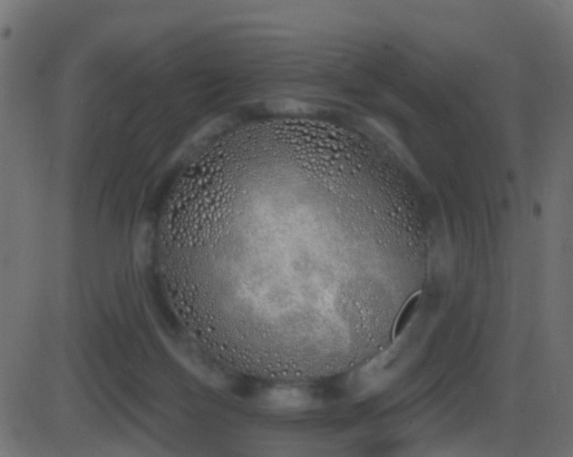 X0000086270171200704051318