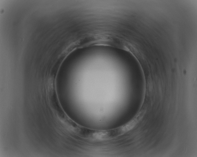 X0000086270172200704051318