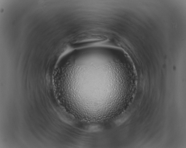 X0000086270173200704051318