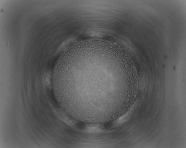 X0000086270175200704051318