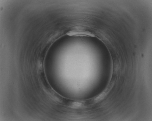 X0000086270176200704051318