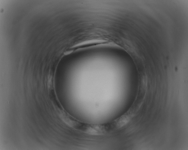 X0000086270177200704051318