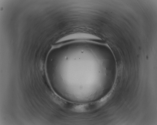 X0000086270178200704051318