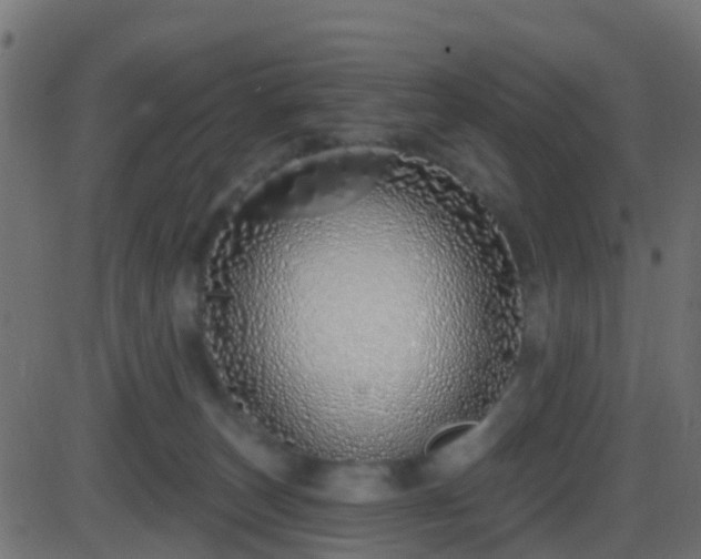 X0000086270179200704051318