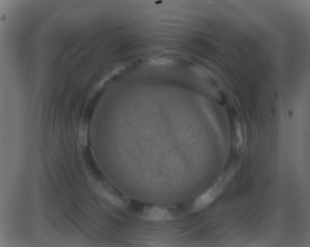 X0000086270180200704051319