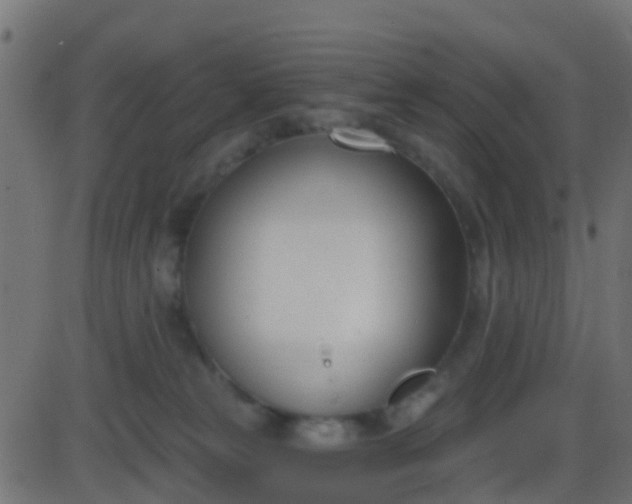 X0000086270181200704051319