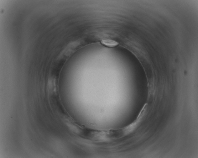 X0000086270182200704051319