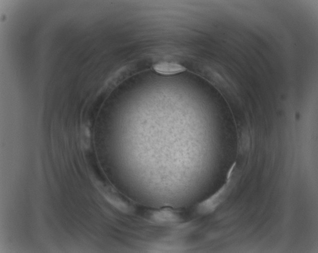 X0000086270183200704051319