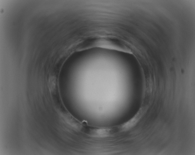 X0000086270184200704051319