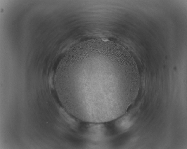 X0000086270185200704051319