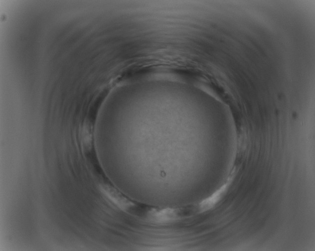 X0000086270186200704051319