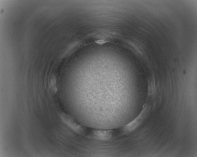 X0000086270187200704051319