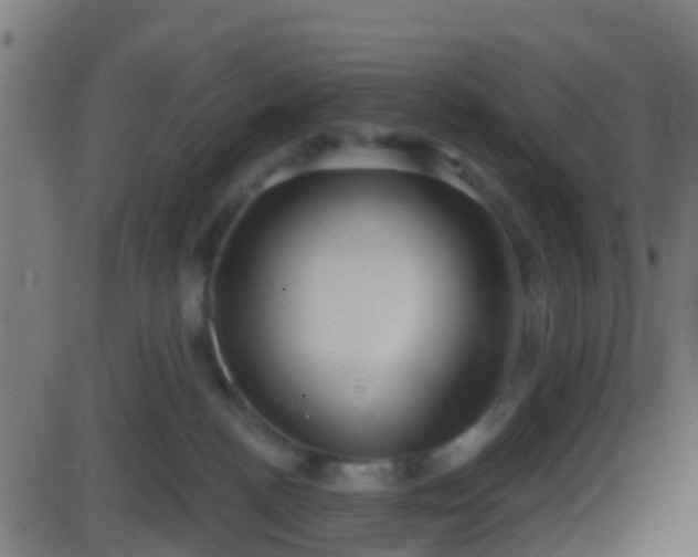 X0000086270188200704051319