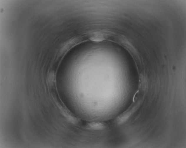 X0000086270189200704051319