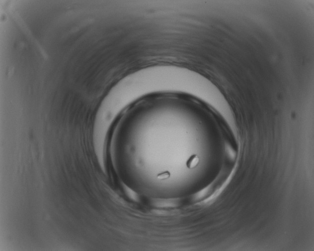 X0000086270190200704051319