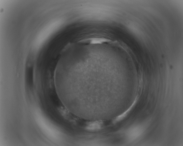 X0000086270191200704051319