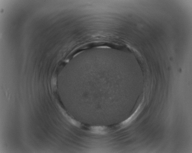 X0000086270192200704051319