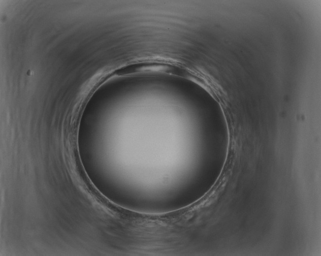 X0000086270193200704051318