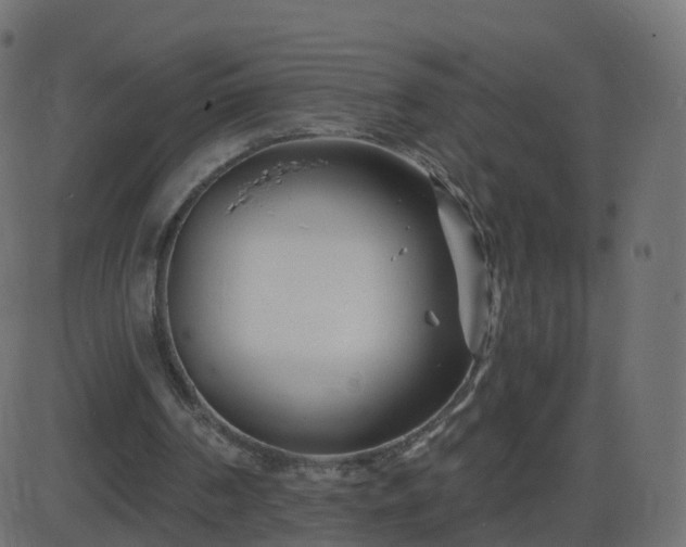 X0000086270194200704051318