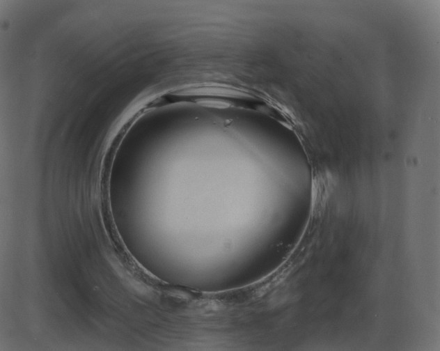 X0000086270195200704051318