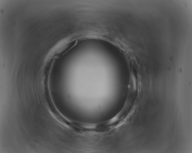 X0000086270197200704051318