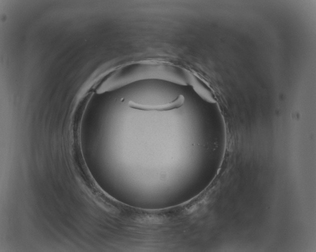 X0000086270198200704051318