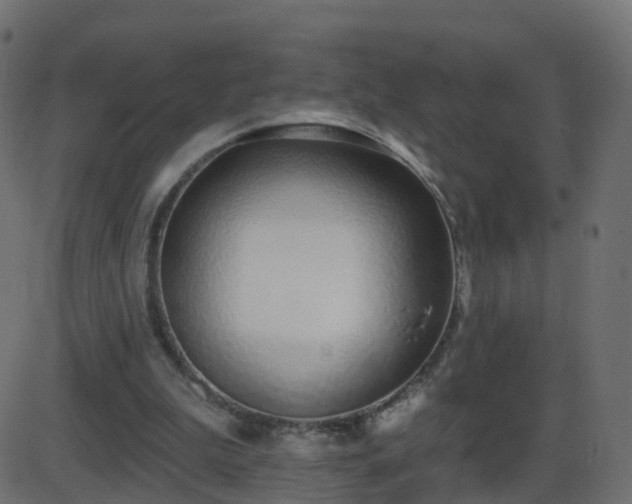 X0000086270199200704051318