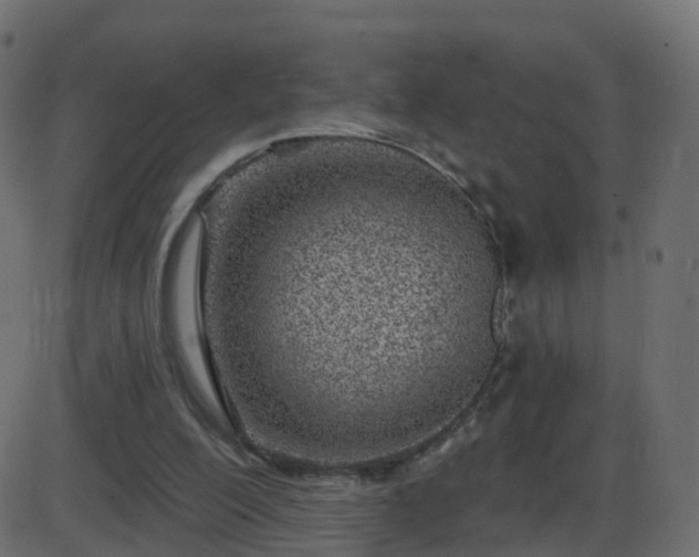 X0000086270200200704051318