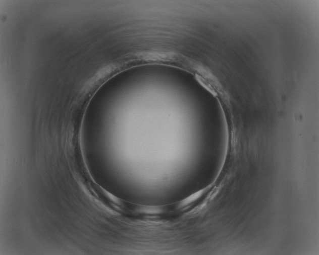 X0000086270201200704051318