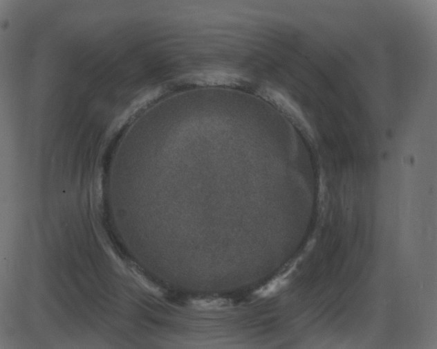 X0000086270202200704051318