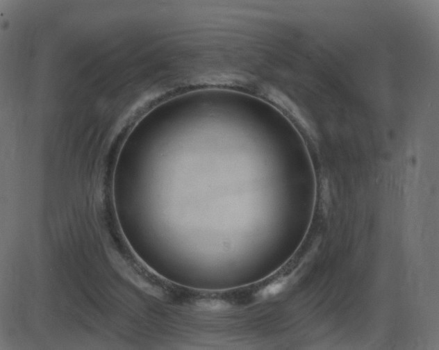 X0000086270203200704051318