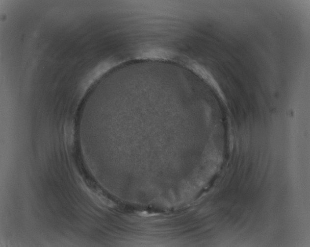 X0000086270204200704051318