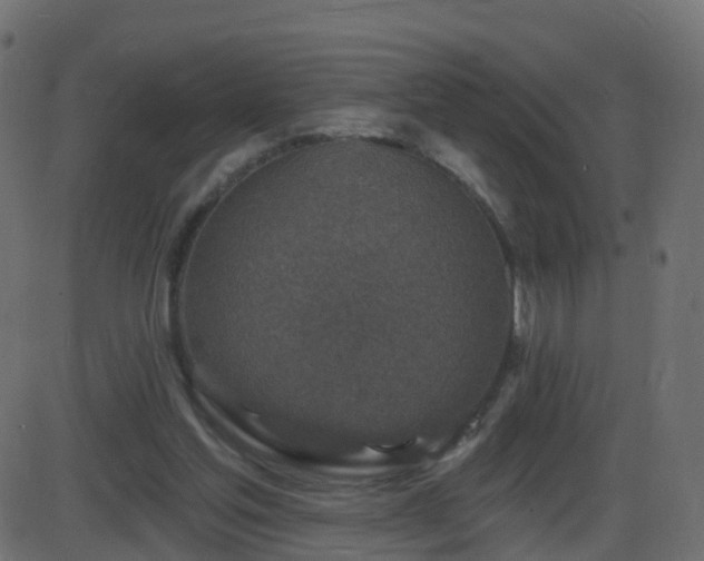 X0000086270205200704051318