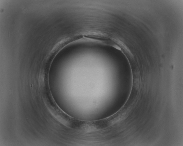 X0000086270207200704051318