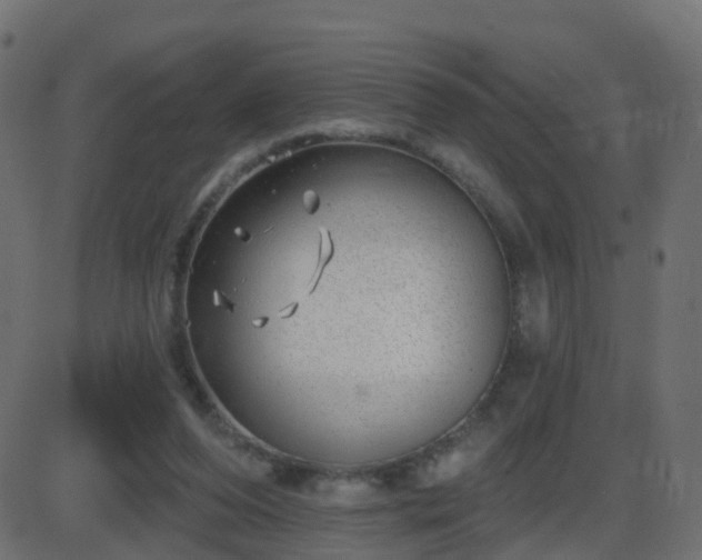 X0000086270208200704051318