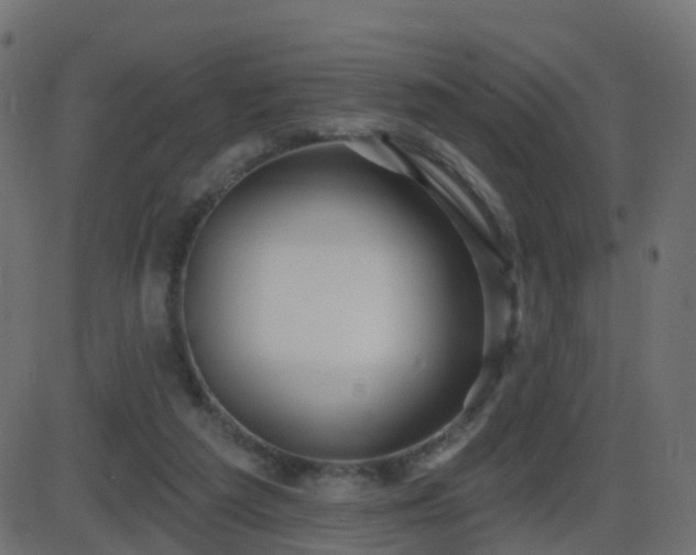 X0000086270209200704051318