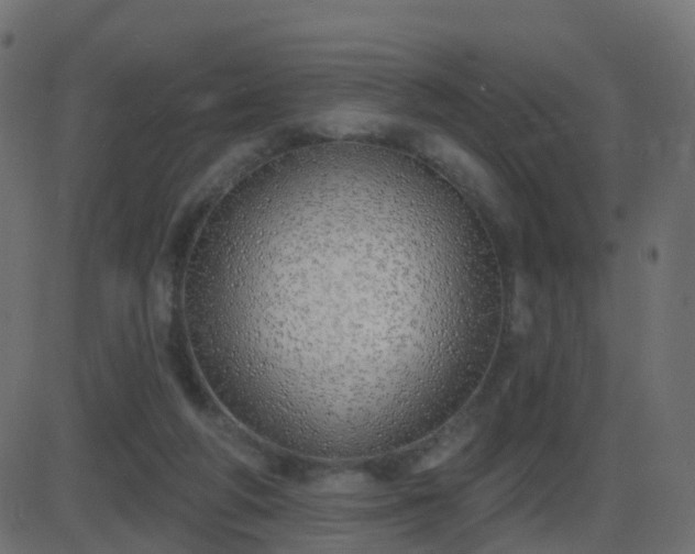 X0000086270210200704051318