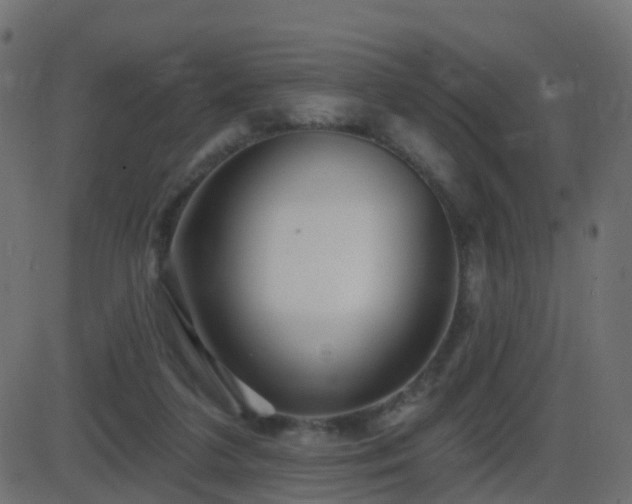 X0000086270211200704051318