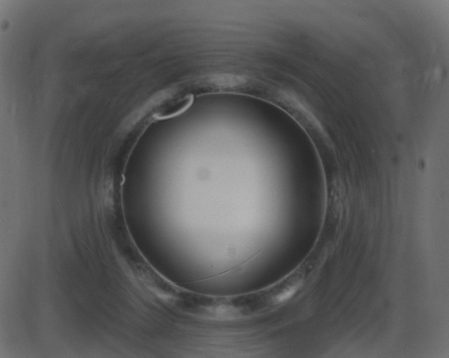 X0000086270212200704051318