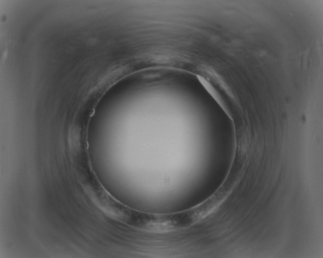 X0000086270213200704051318