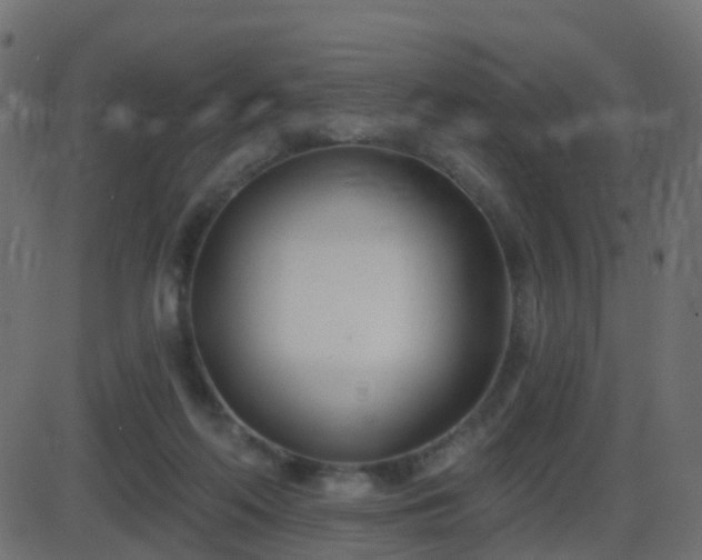 X0000086270214200704051318